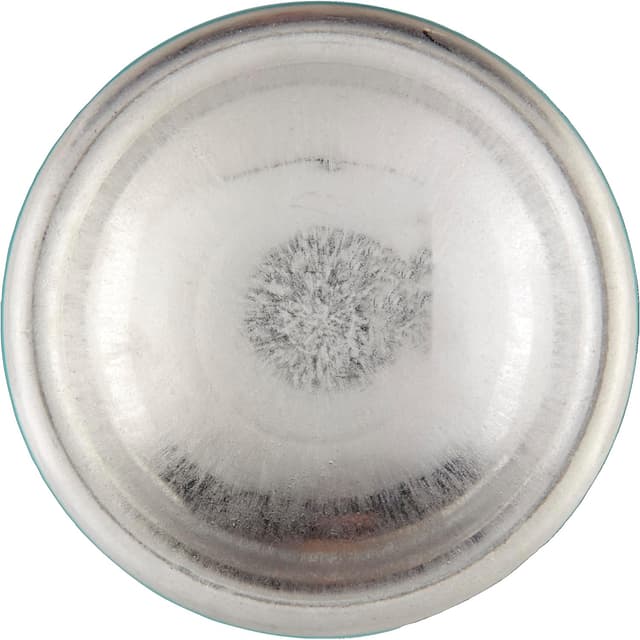 Detalle de Tesori d'Oriente Ayurveda Profumatore Bucato per Lavatrice con note della Rosa Nera, 250 ml