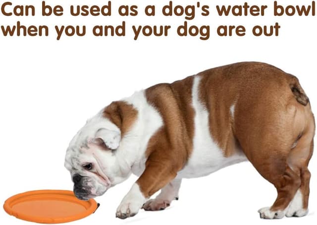 Detalle 2 de Vivifying Hundefrisbee aus natürlichem Kautschuk (2er-Set) 15 cm – für Land & Wasser in Grün/Orange