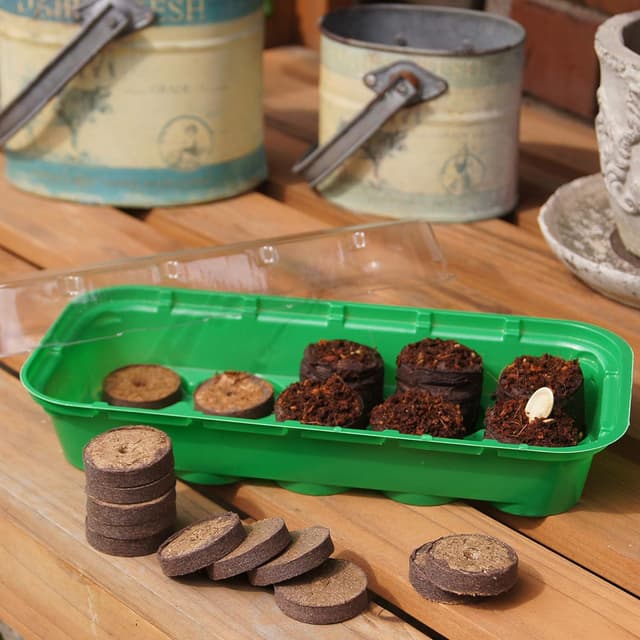 Detalle 1 de Masidef (Würth Group) Sunflower FLOR79145 pastiglie in fibra di cocco per piantine, 50 pezzi