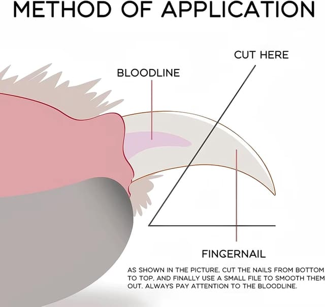 Thumbnail 3 de Boulton Dog Nail Clippers for Small Breeds
