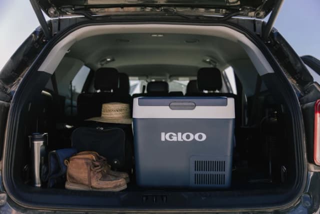 Thumbnail 16 de Igloo ICF32 Kühlbox mit 32 l