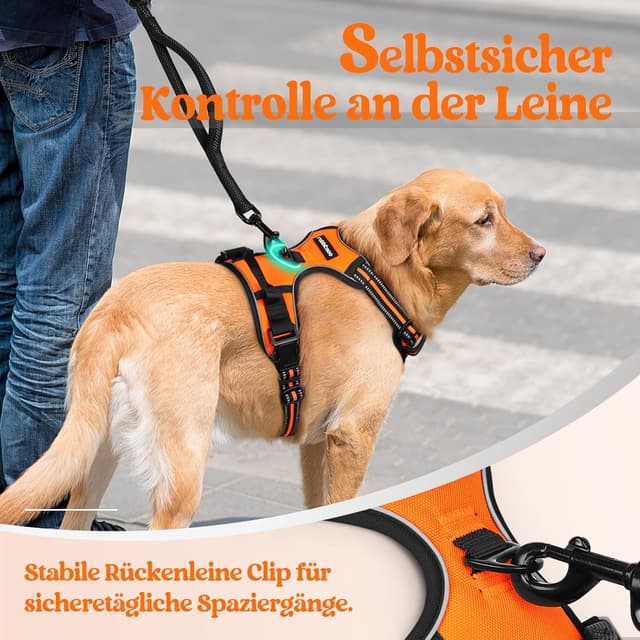Thumbnail 6 de rabbitgoo Hundegeschirr Mittelgroße Hunde No Pull, verstellbar mit 2 Ösen und Reflexstreifen (Größe M, Orange)