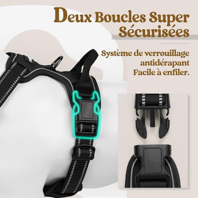 Thumbnail 6 de rabbitgoo Harnais chien anti-traction L avec poignée