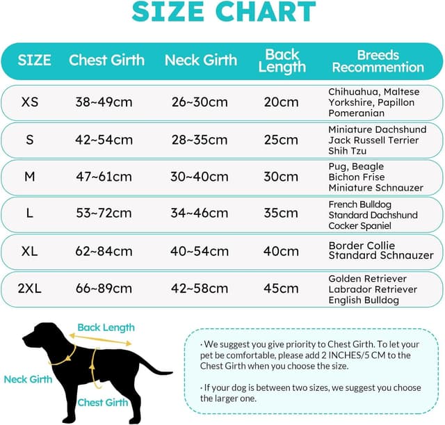 Detalle de Queenmore Large Dog Life Vest (Reflective, Lightweight) with Rescue Handle – Fuchsia, L