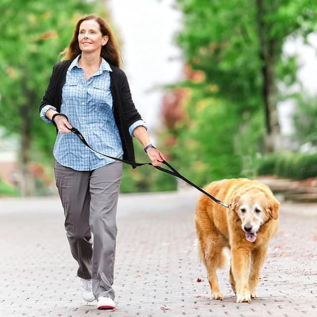 Thumbnail 1 de Eyeleaf Correa para perros 1,8 m