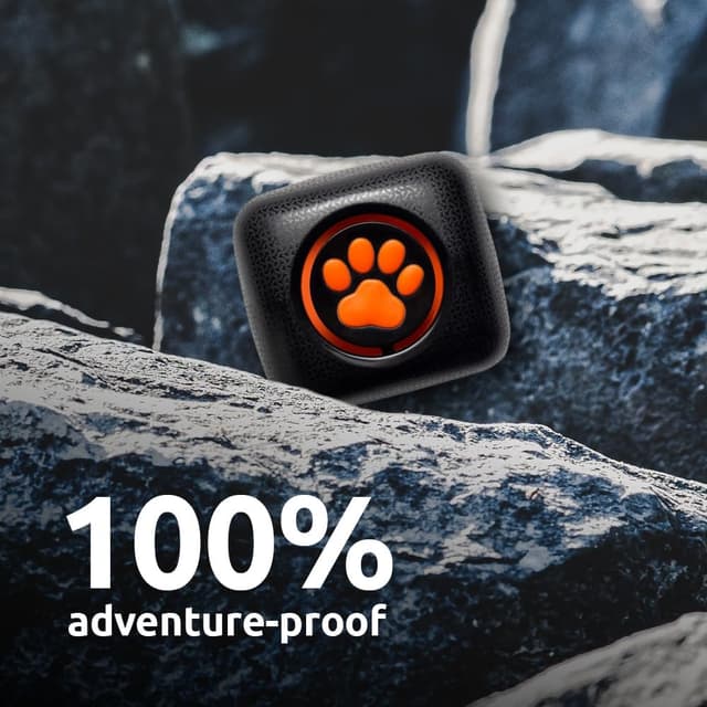 Detalle de PitPat dog activity monitor, no GPS