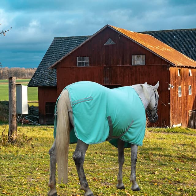 Thumbnail 5 de Leberna Fleece Cooler 5'9