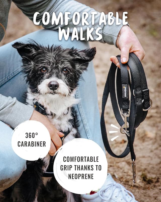 Detalle de Rudelkönig Guinzaglio addestramento 2,30 m