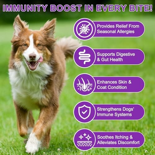 Detalle 2 de MASAIGGE Aperitivos masticables para perros contra la picazón y para la inmunidad (150 unidades)