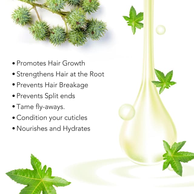 Detalle 2 de Rizinusöl Haare 60ml Reines Castoröl