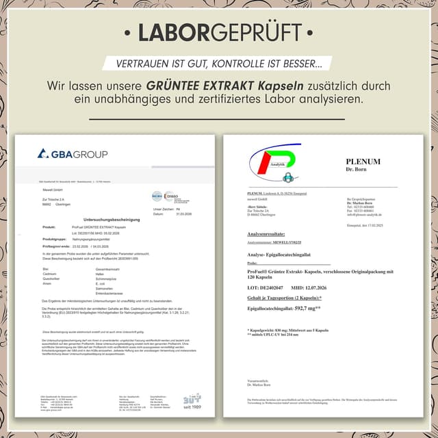 Thumbnail 4 de Grüntee Extrakt 120 Kapseln 💊