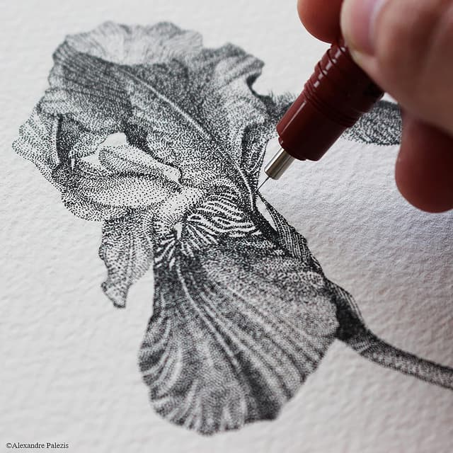 Thumbnail 1 de rOtring Isografo 0,2 ✏