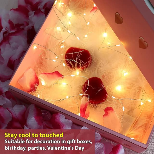 Detalle de HXWEIYE 6 packs de guirlande lumineuse LED blanc chaud (2,1 m, 20 LED) – guirlandes à piles