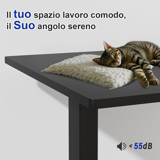 Thumbnail 5 de JUMMICO Standing Desk scrivania elettrica 72-118 cm 📏