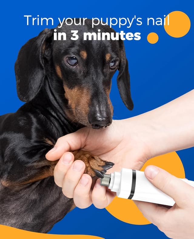 Detalle de oneisall 4in1 Leise Schermaschine für Hund & Katze – Wiederaufladbar mit 4 Multifunktions-Schneidköpfen