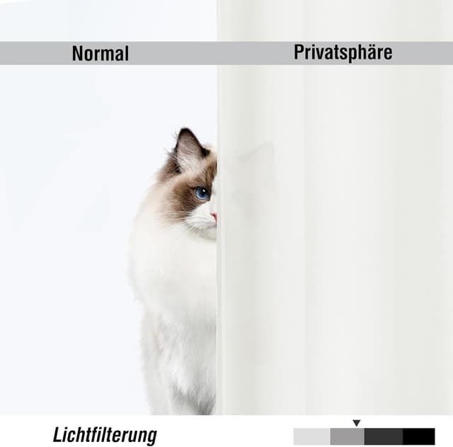 Detalle de BellaHills Voile-Gardinen in Elfenbeinweiß (2er-Set) mit Ösen, halbtransparent H230 × B140 cm