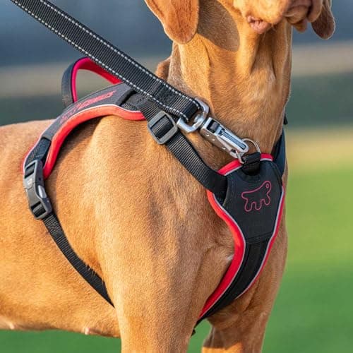 Detalle 2 de Ferplast Arnes Genius Medium reflectante transpirable con cierre magnético