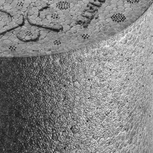 Thumbnail 6 de BODYMATE Faszienrolle Standard 30 cm 🧘