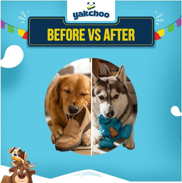 Thumbnail 2 de Yakchoo Treatoy for Dogs 5‑piece Yak Cheese