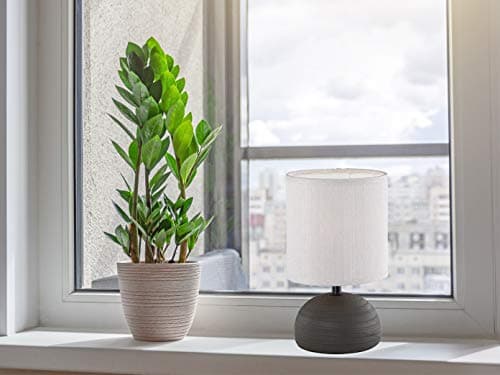 Thumbnail 5 de Reality Luci Sobremesa 40 W, 370 lm, E14