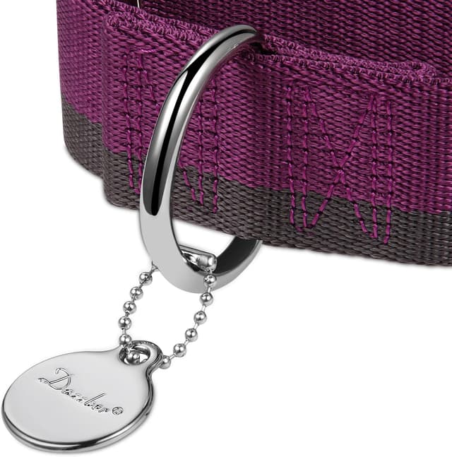 Detalle 2 de Dazzber Martingale Collar (Extra Strong Nylon, 1 1/2 Inch Wide) for Medium to XLarge Dogs – Purplish Red & Grey