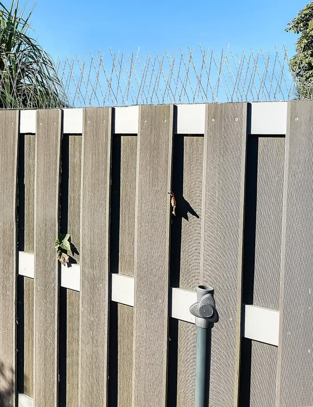 Thumbnail 6 de wohohoho Taubenabwehr Spikes aus Edelstahl – Vogelabwehr Spike-Set (5 m / 20 Stück)