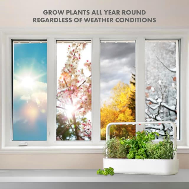 Detalle 2 de Click & Grow Smart Garden – potager d’intérieur connecté avec 9 capsules prêtes à pousser, éclairage et arrosage automatiques (blanc)