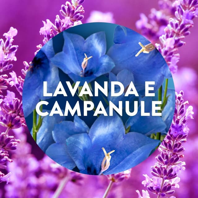 Thumbnail 3 de Air Wick Diffusore Elettrico Oli Essenziali 120 giorni