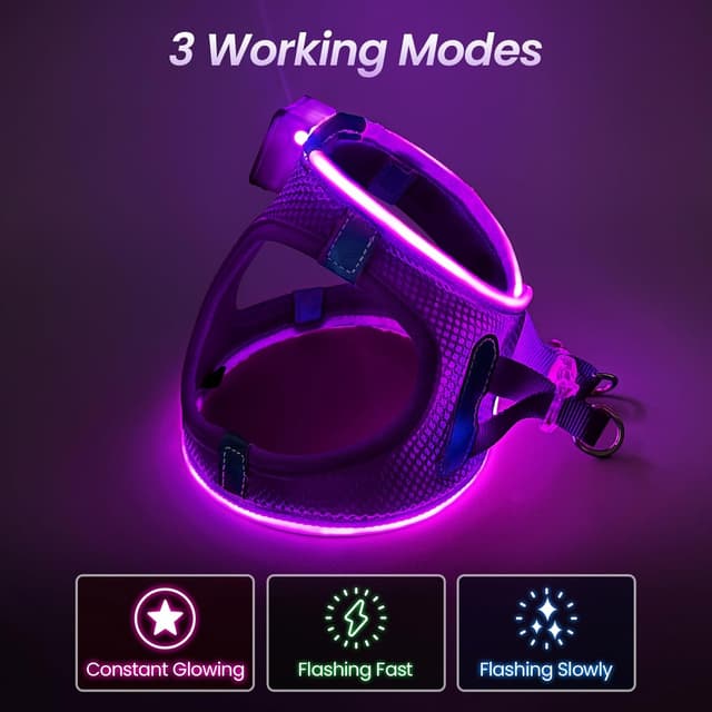 Detalle 2 de PcEoTllar Light Up Dog Harness with Rechargeable LED (Waterproof, Reflective) – Purple