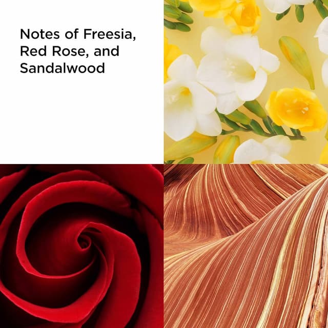 Detalle de Elizabeth Arden Red Door Eau de Toilette 2-piece Gift Set (100ml + 30ml)