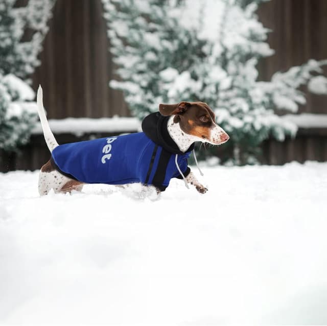 Thumbnail 6 de LeLePet Dachshund Hoodie (Puppy Sweatshirt) in Blue, Cotton Fleece Dog Jumper with Lelepet Print
