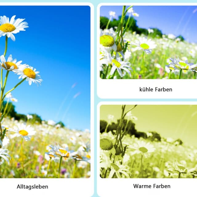 Detalle de Kinsi DC403 Cámara digital 24 MP, 2,4" negra