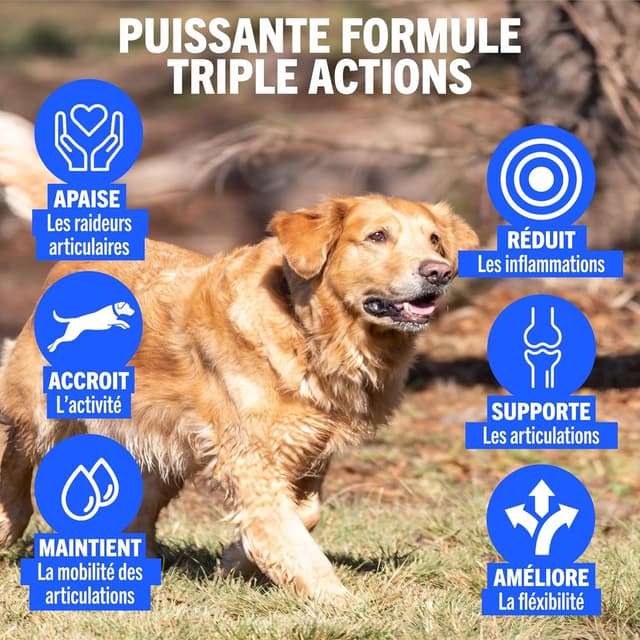 Thumbnail 2 de JOINTSURE Senior 300 comprimés pour mobilité canine