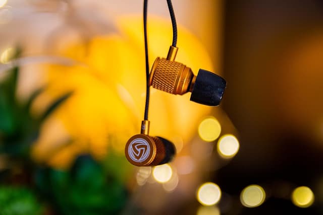 Detalle de LUDOS Ultra Wired Earbuds (In-Ear) with Microphone — Noise Isolating, Memory Foam Tips, 5-Year Warranty, Gold