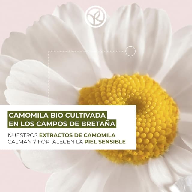 Thumbnail 2 de Yves Rocher - Crema Calmante Piel Sensible Sensitive Camomile 🌼