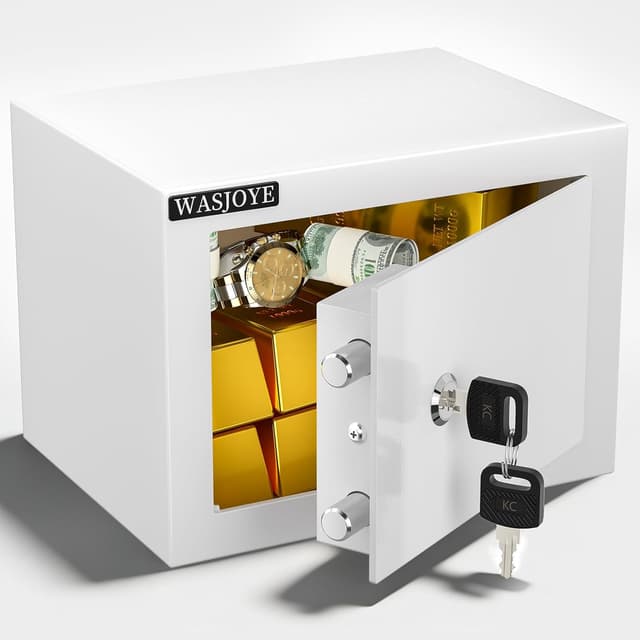 Detalle de WASJOYE Mini Cassaforte a muro 17 x 23 x 17 cm da 6,6 L con serratura a chiave