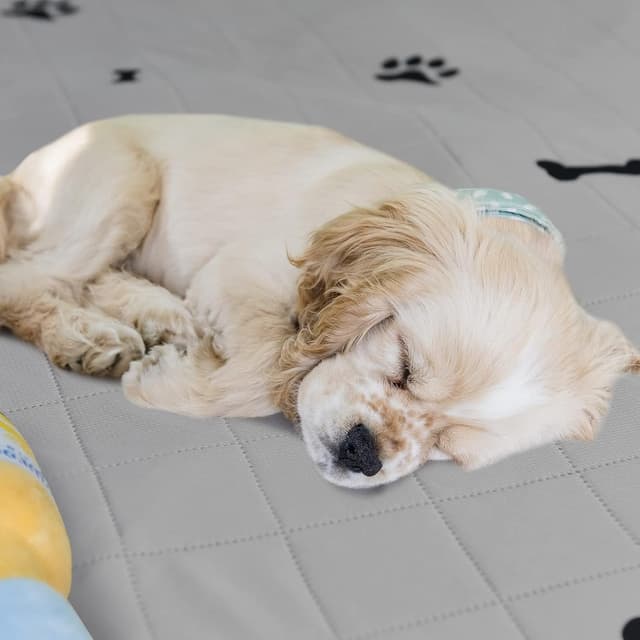 Thumbnail 4 de Washable Dog Pads 50x70cm 2-Pack puppy training mats