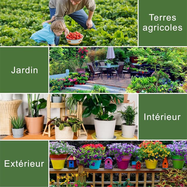 Thumbnail 5 de XLUX Capteur d'humidité 14 cm 🌱