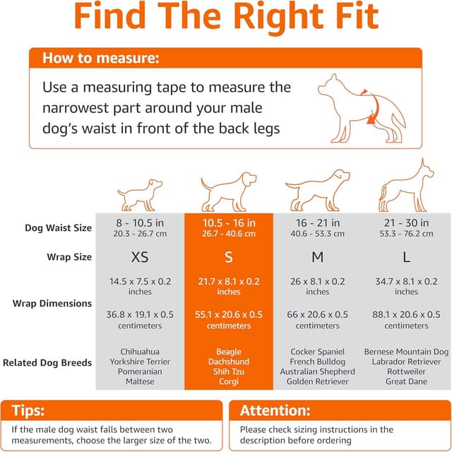 Detalle 2 de Amazon Basics Dog Diapers for Males 30-pack