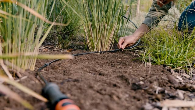 Detalle 2 de GARDENA Start Set Pflanzreihen S (13010-20) – Micro-Drip-Gartenbewässerung für Reihenpflanzungen