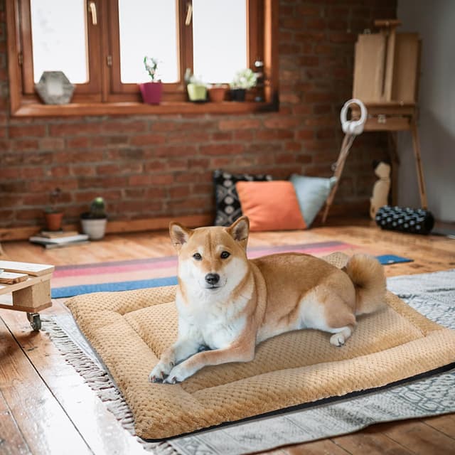 Thumbnail 6 de ASIJIA Dog Bed Mat Large 90 x 56cm