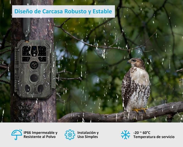 Thumbnail 6 de GardePro X50 Cámara de caza 32 MP, 1296p