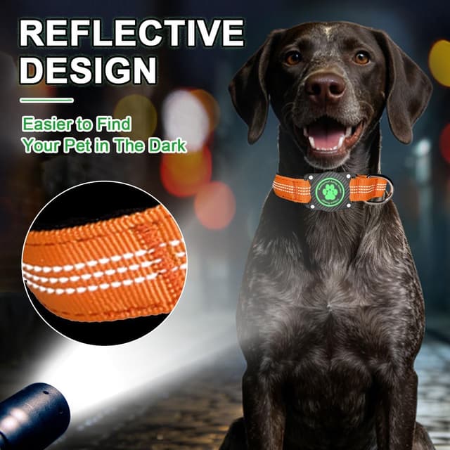 Thumbnail 3 de Ytanest Reflective AirTag Dog Collar L