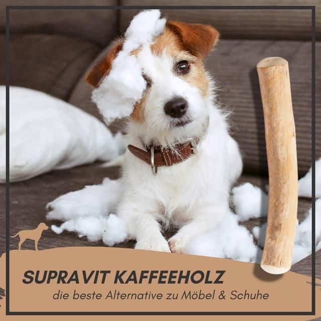 Thumbnail 6 de Supravit natürlicher Kauknochen aus Kaffeeholz für Welpen XS – Kaustab Kauholz für langanhaltenden Kauspaß