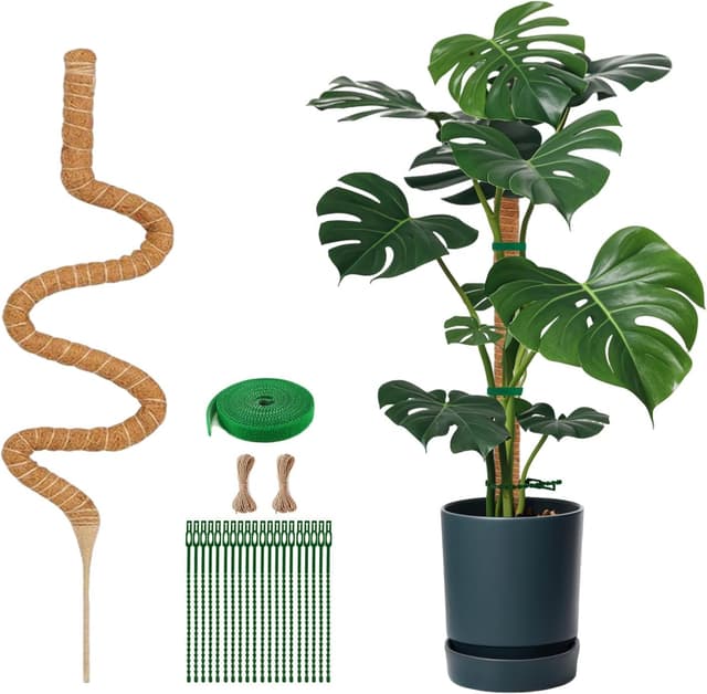 Thumbnail 1 de SZMDLX Moss Pole 160 cm Bendable Coir Plant Support