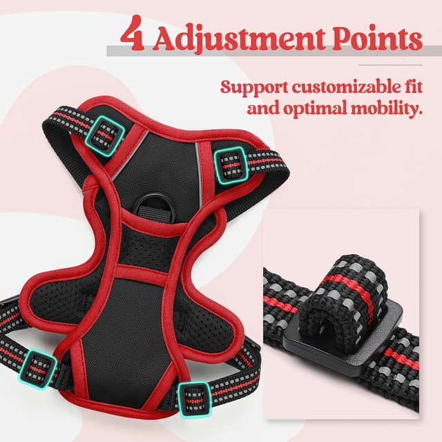 Detalle de Harnais anti-traction rabbitgoo noir et rouge XS avec poignée