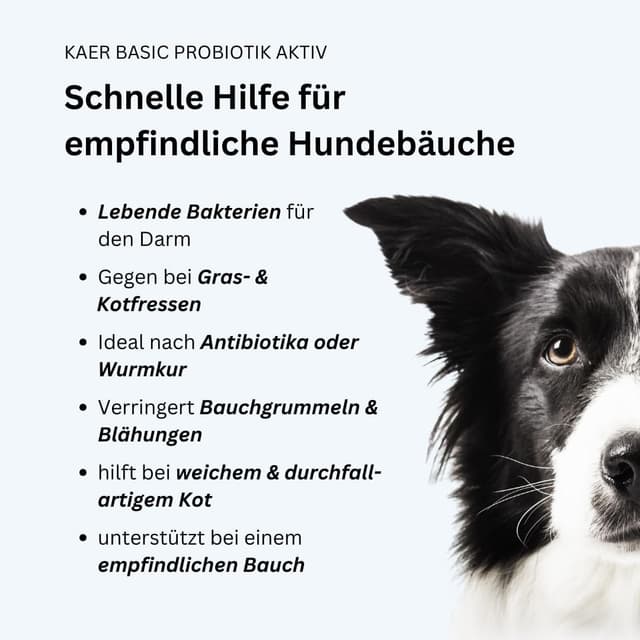 Thumbnail 1 de kaer basic Probiotik Aktiv Pulver für Hunde 3x200g