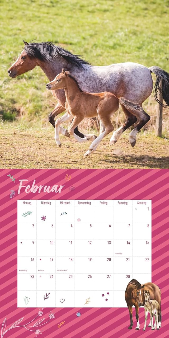 Detalle de Alpha Edition Pferdefreunde Kalender 2026 (Broschürenkalender, 30×30 cm) mit Stundenplänen, Ferientabelle & Extra-Spiel