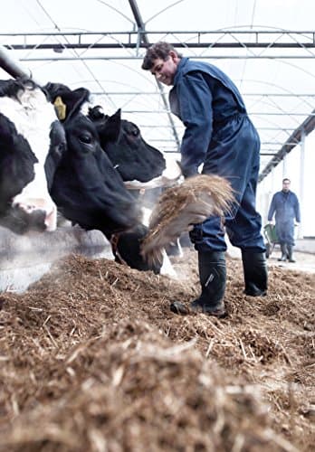 Thumbnail 6 de DUNLOP C762933 Purofort+ Full Safety talla 49 👞