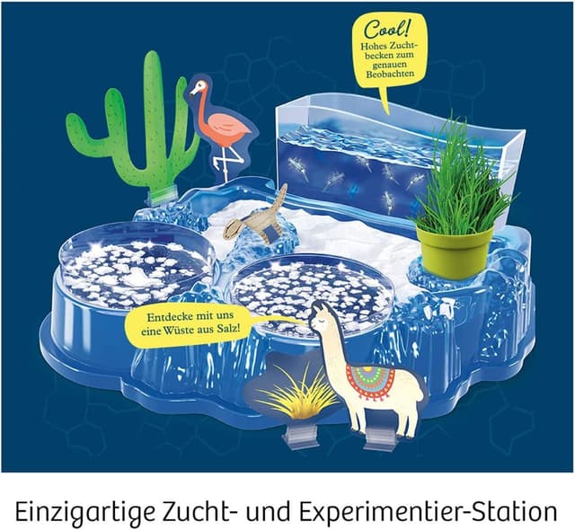 Detalle 1 de Kosmos 633264 Salzkrebse Überlebenskünstler